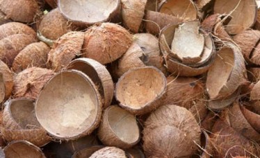 Coconut Shell For Industrial Use